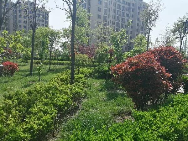 微信图片_20190417135241.jpg