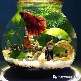 微信图片_20190711103313.jpg