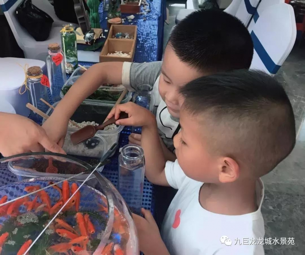 微信图片_20190711103317.jpg