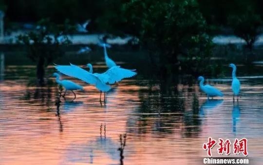 微信图片_20190808135423.jpg